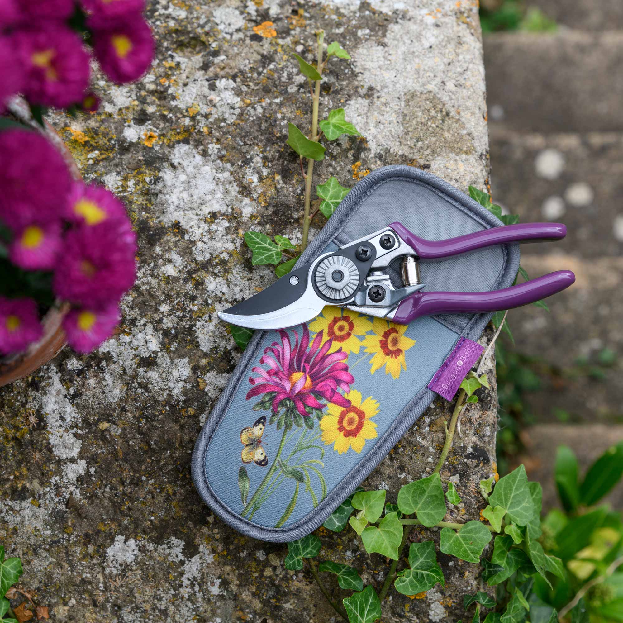 RHS-Geschenkset mit Gartenschere & Holster »Asteraceae«