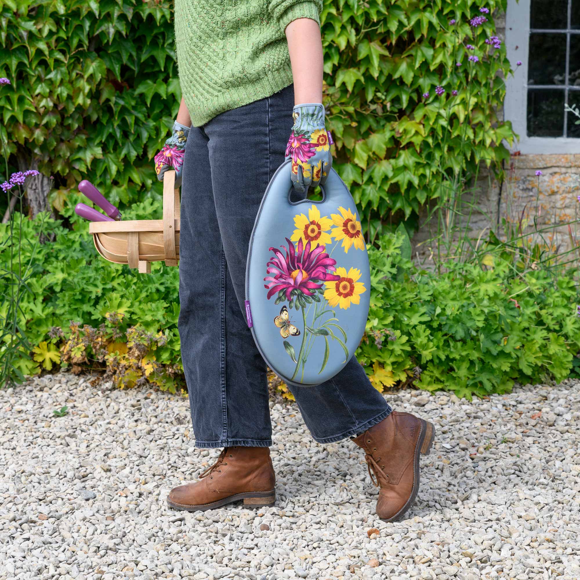 Kniekissen » Asteraceae«