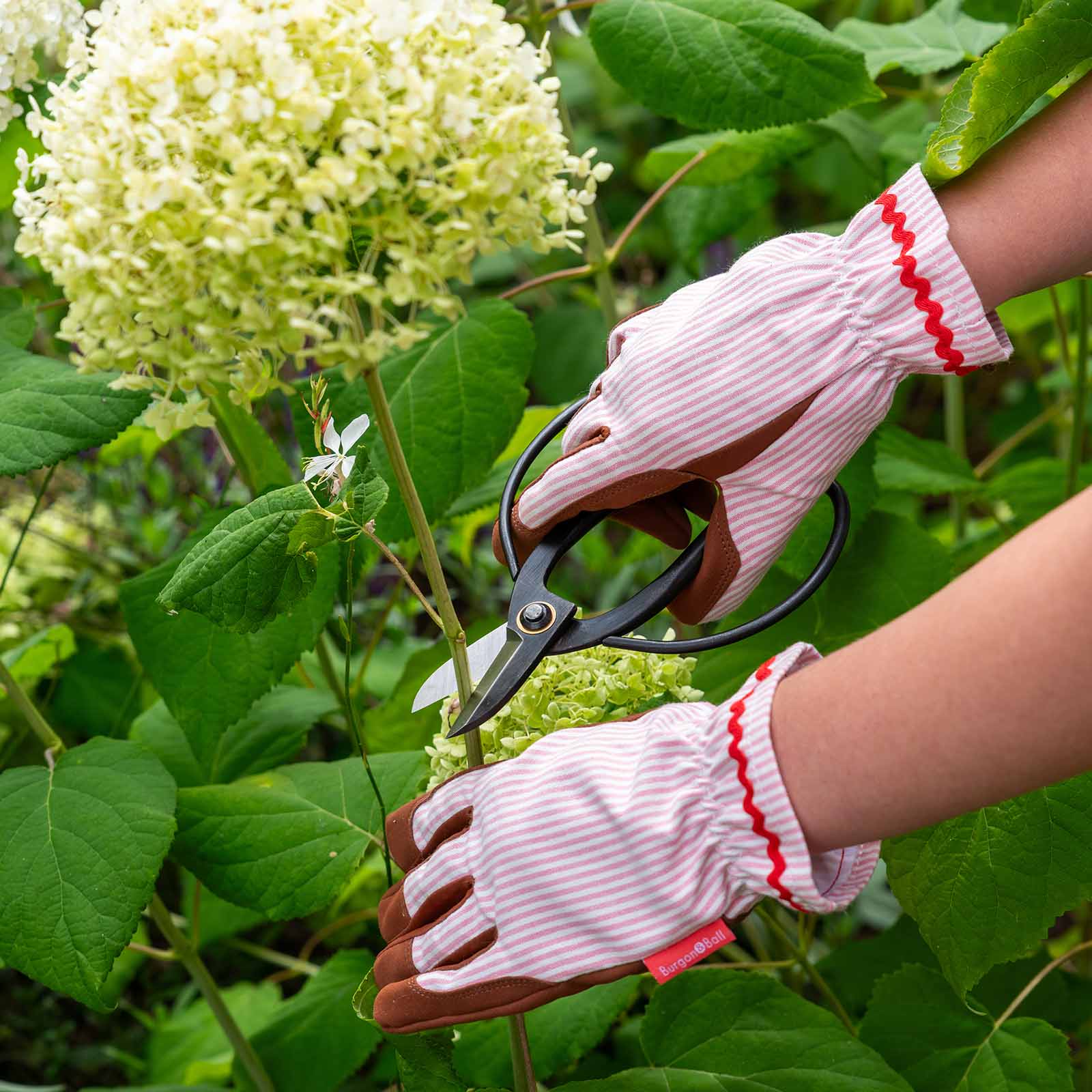 Blumenschere