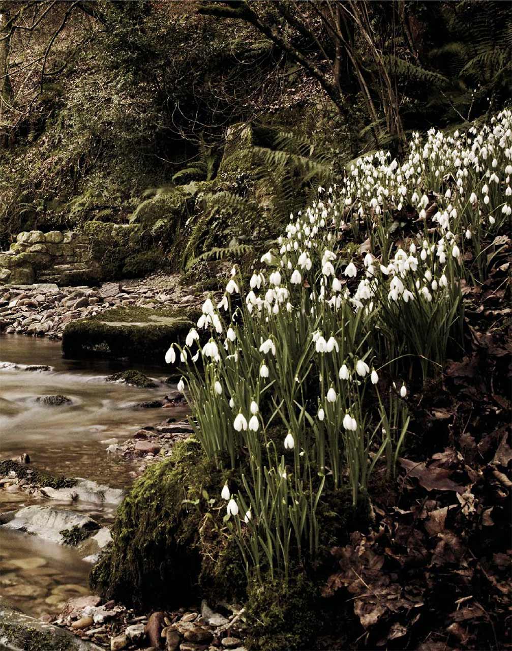 Country Jasper Conran