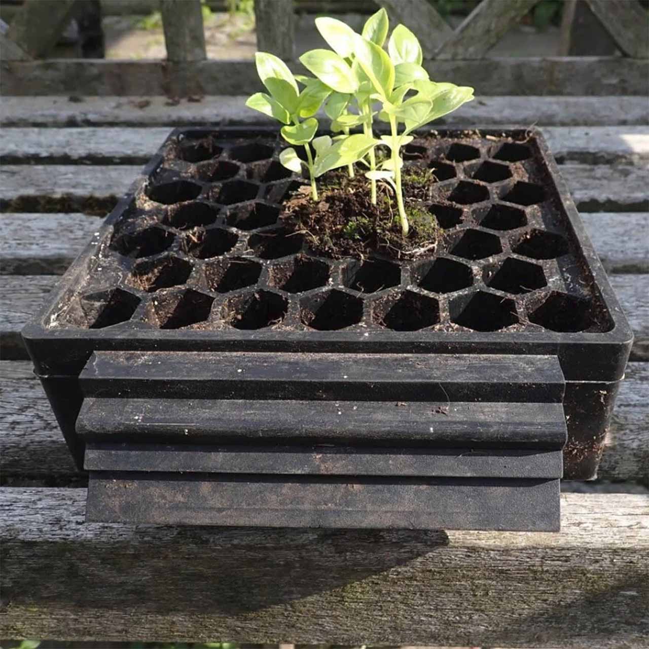 Aussaatschale aus Naturkautschuk