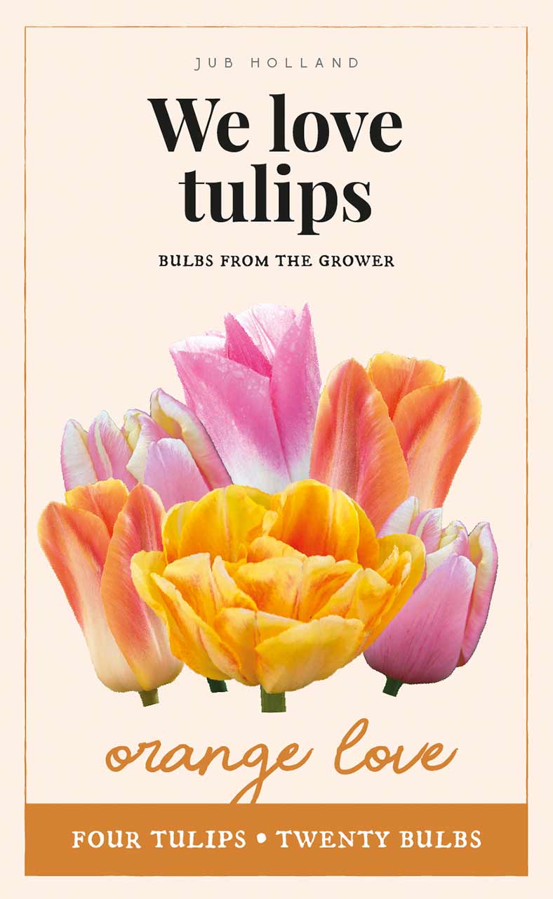 We love tulips Geschenktüte Orange