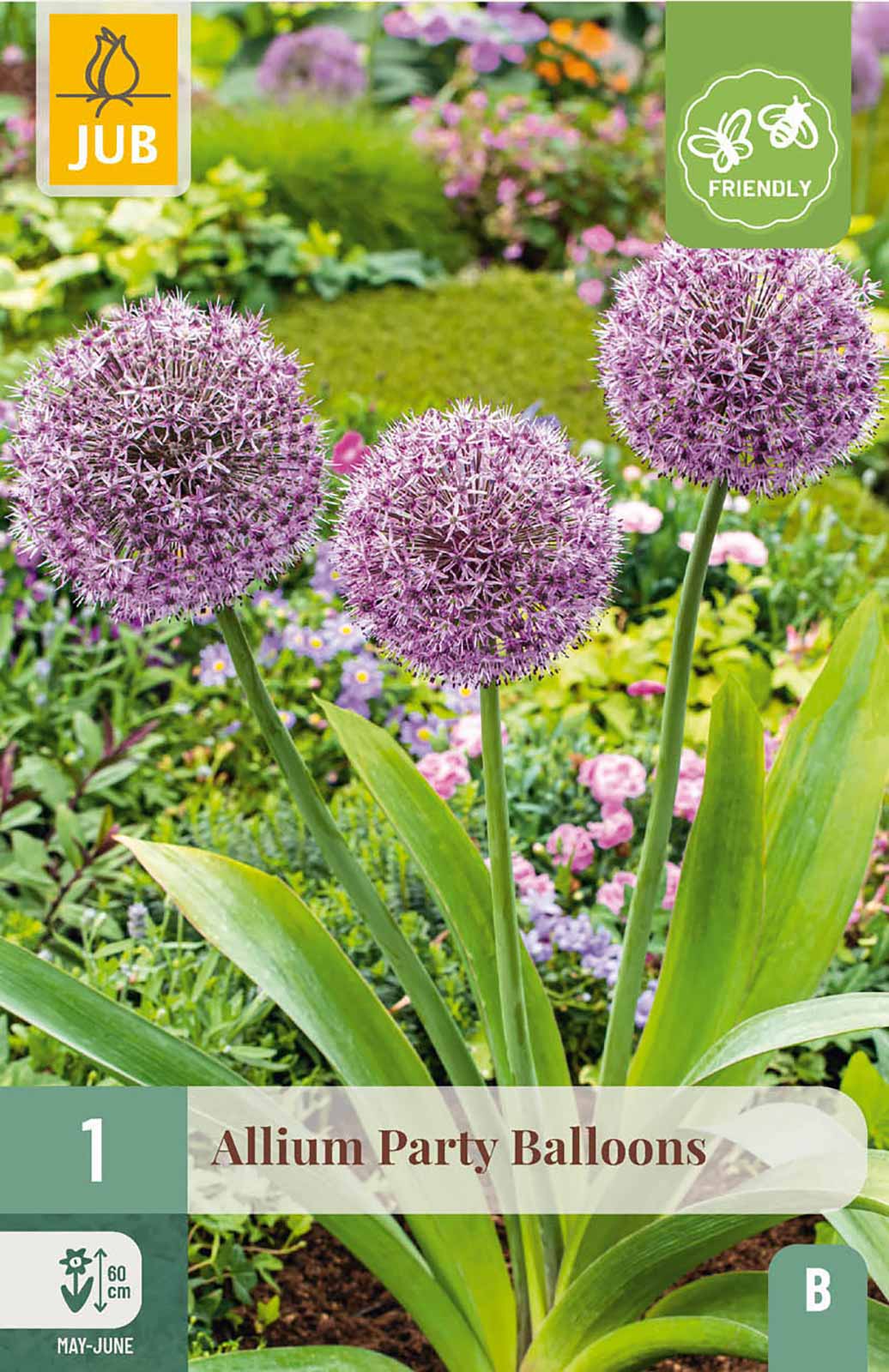 Allium Pary Balloons