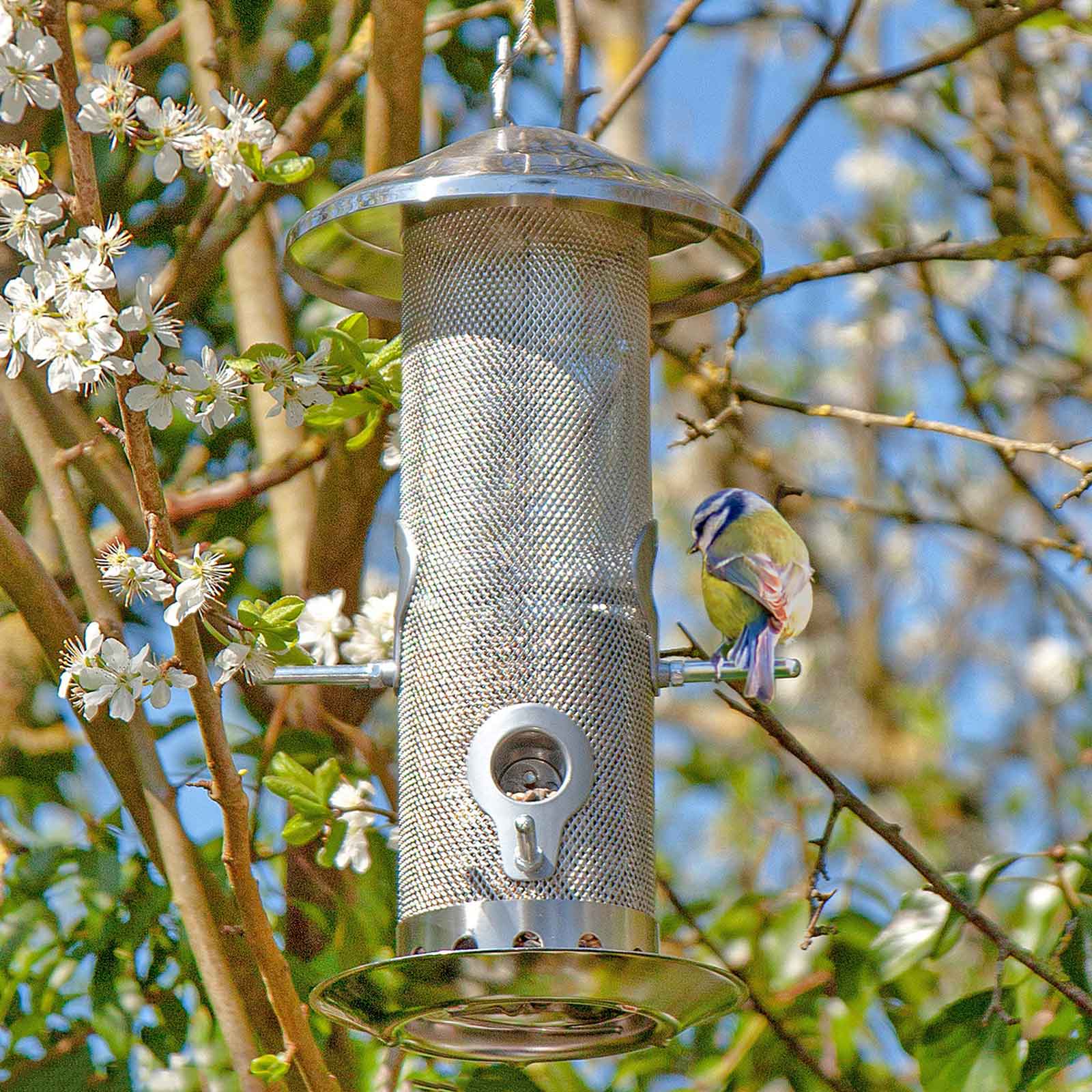Vogelfutterspender aus Edelstahl