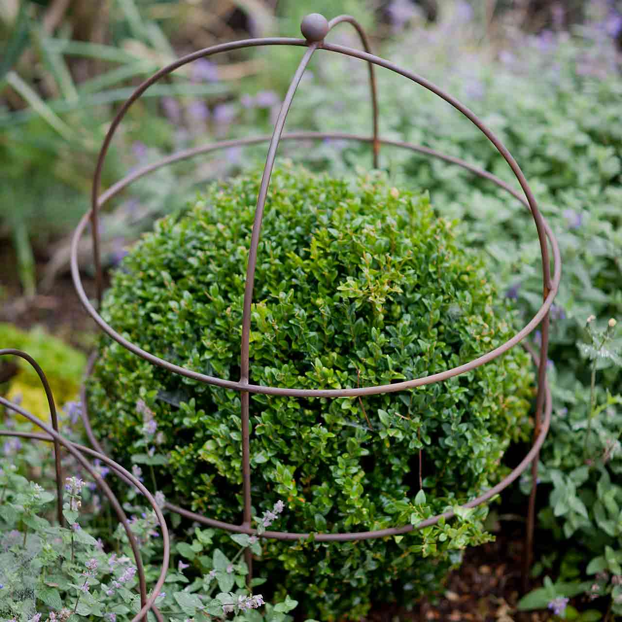 Staudenhalter »Victorian«