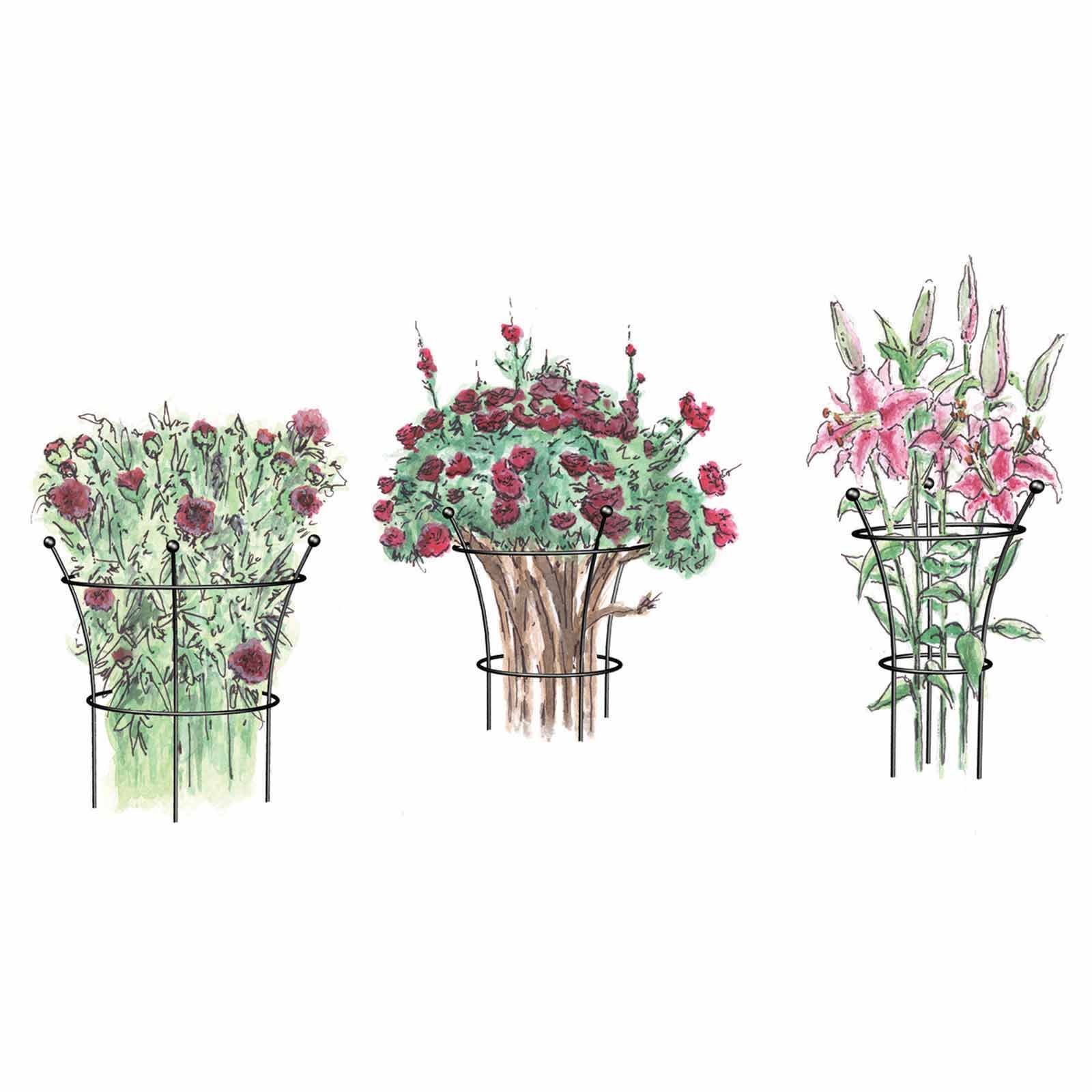 Staudenhalter Metall