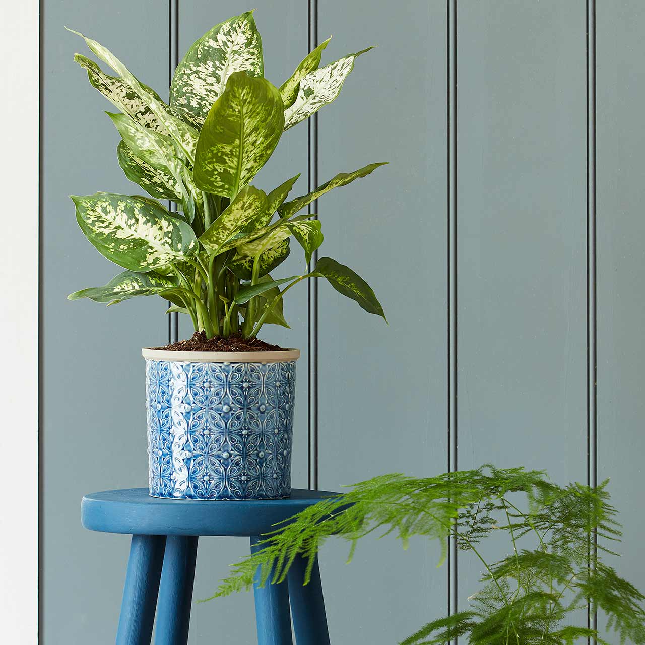 Blumenübertopf »Porto Blue«