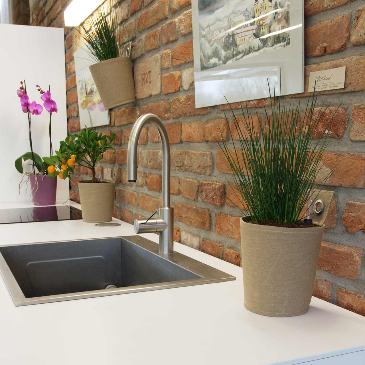 Hänge-Blumentopf »The Green Pot«