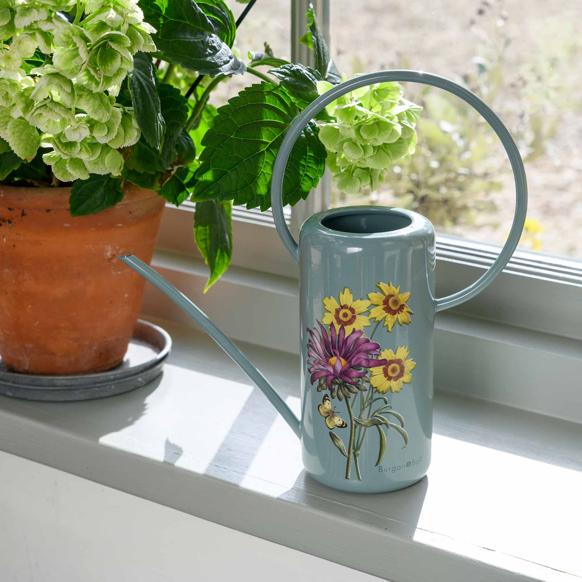 Zimmergießkanne »Asteraceae«