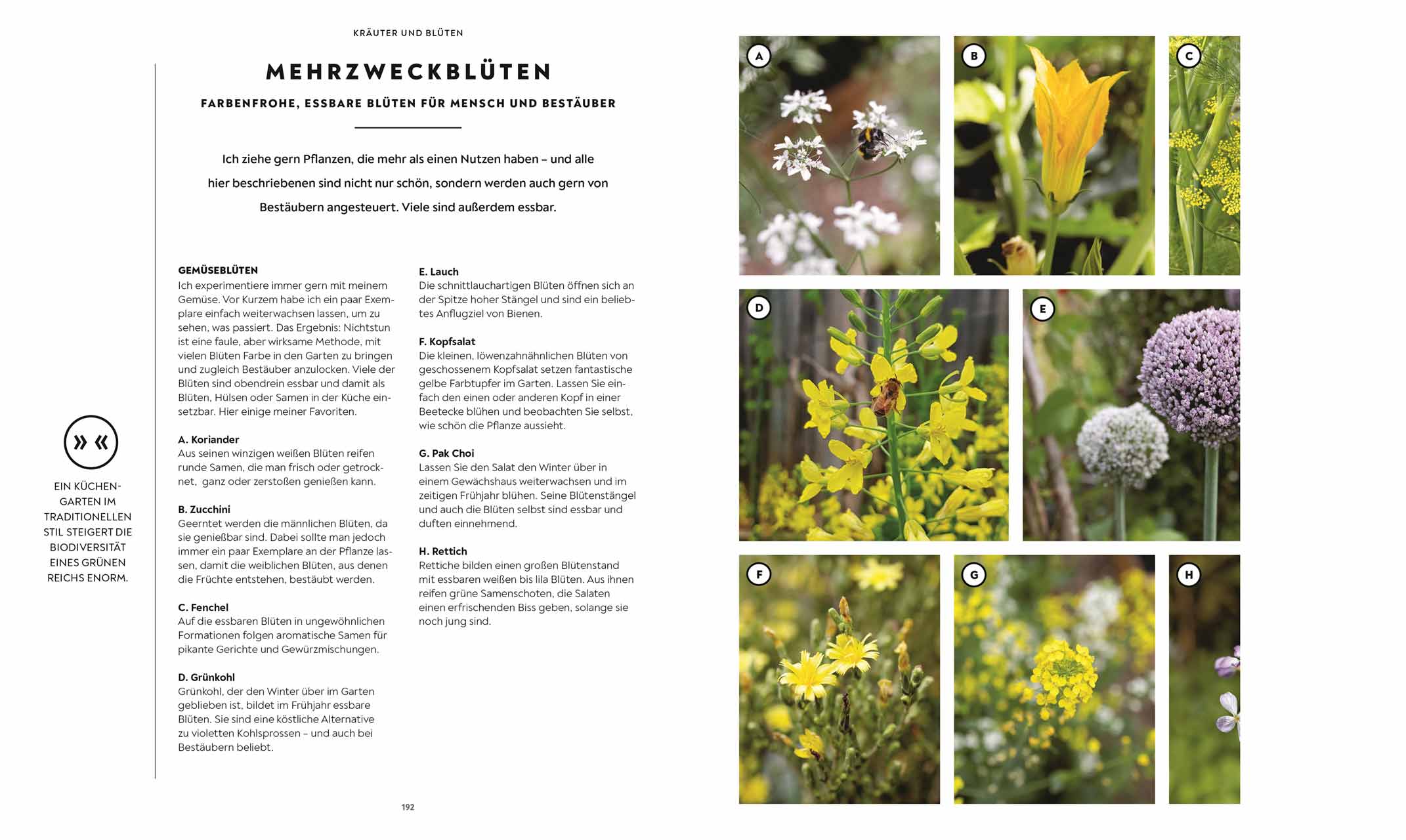 Mein Gemüsegarten Huw Richards