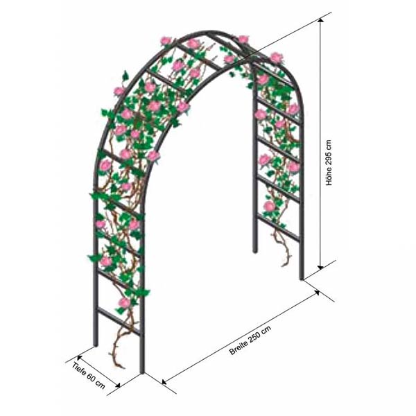 Rosenbogen - Breite 2,5 m