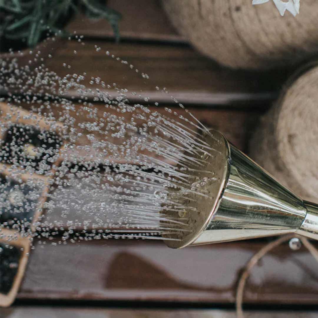 Brausemundstück mit extra feiner Düse