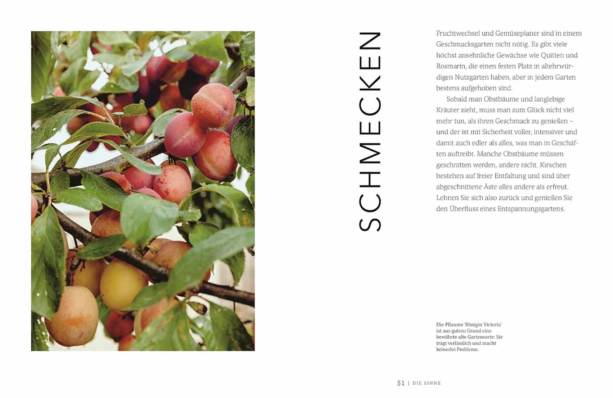 Gärtnern für die Sinne