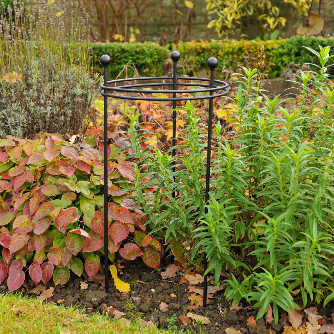 Staudenhalter rund Metall