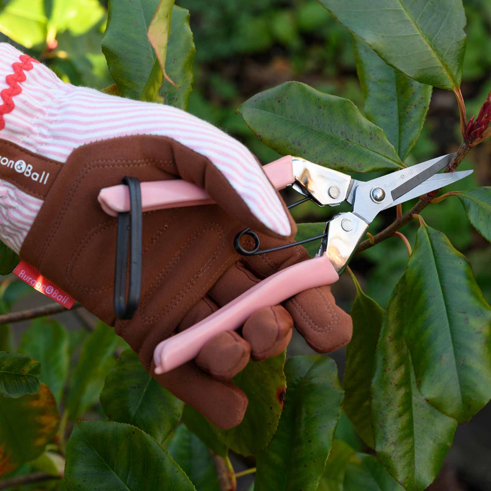 Gartenhandschuhe von Burgon & Ball Rosa Gestreift