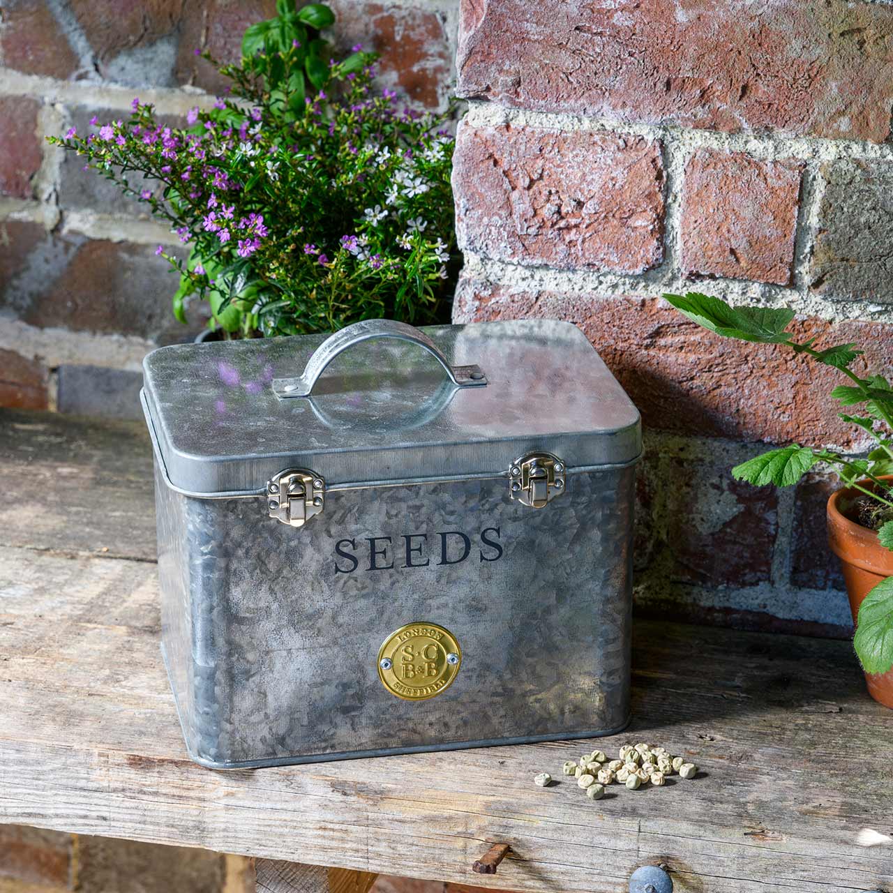 Pflanzensamen-Box von Sophie Conran