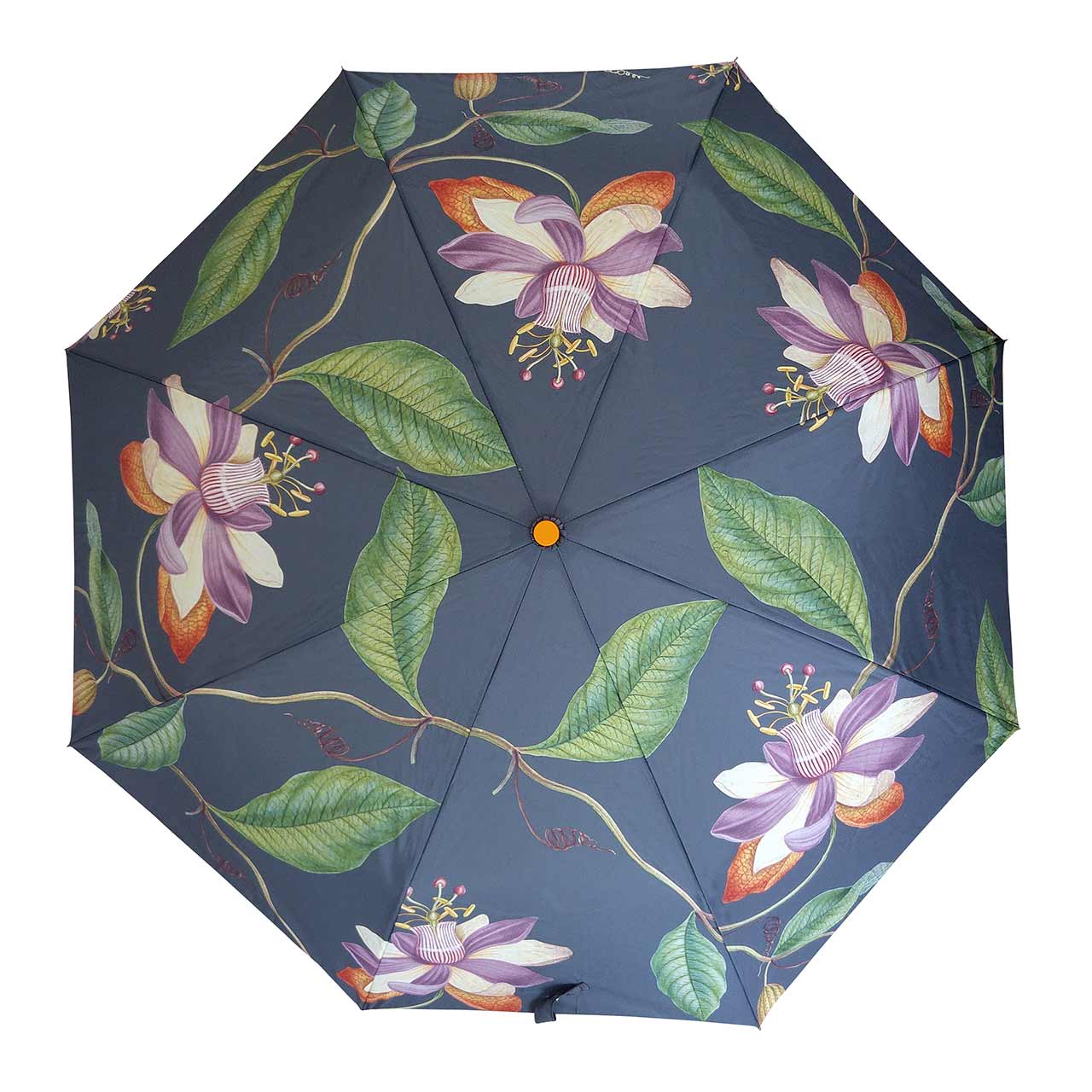 Regenschirm »Passiflora«