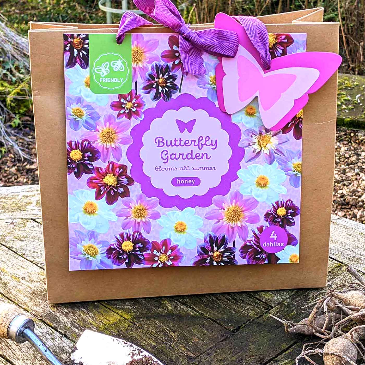 Dahlien Kollektion »Butterfly Garden« - Honey