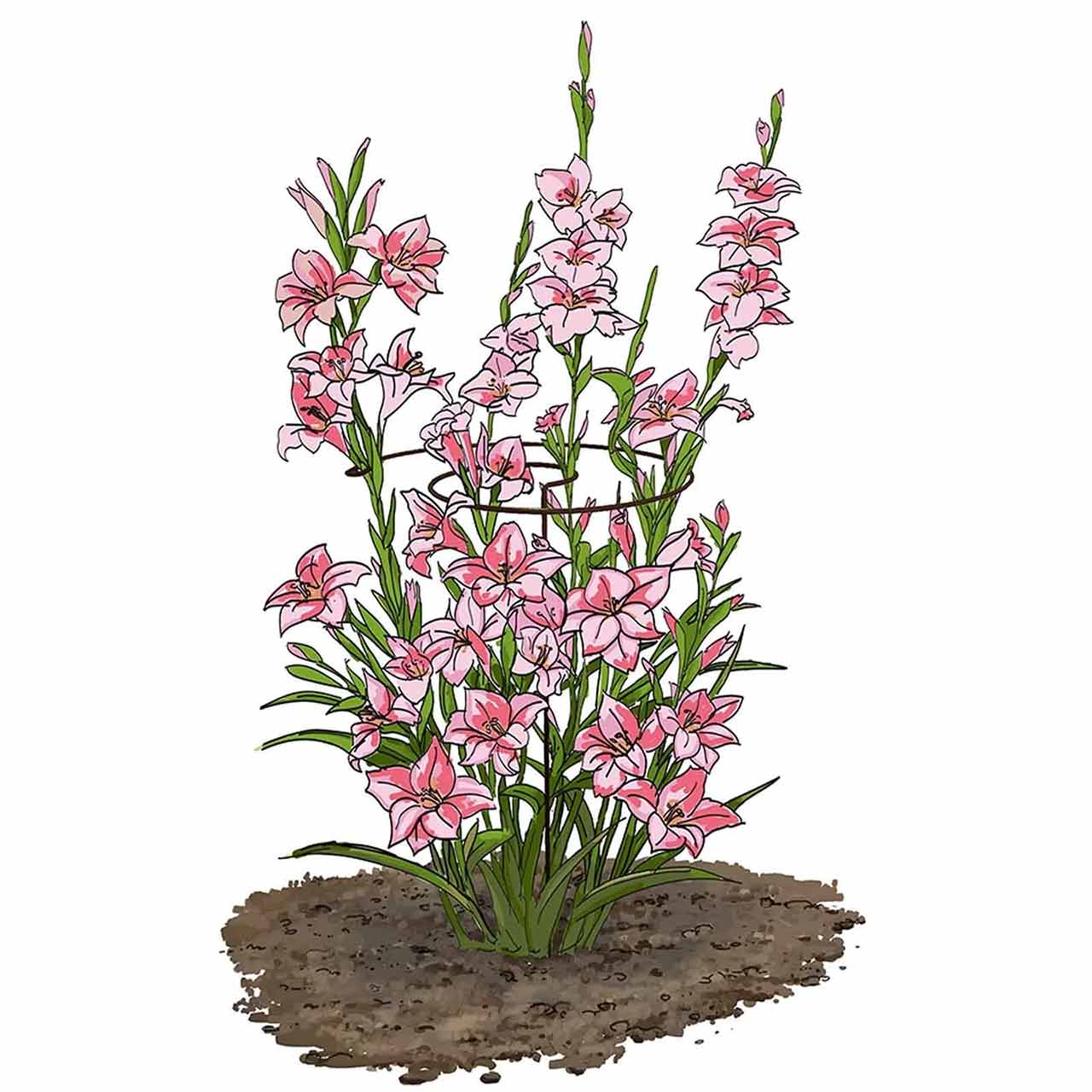 Pflanzenstütze Spirale