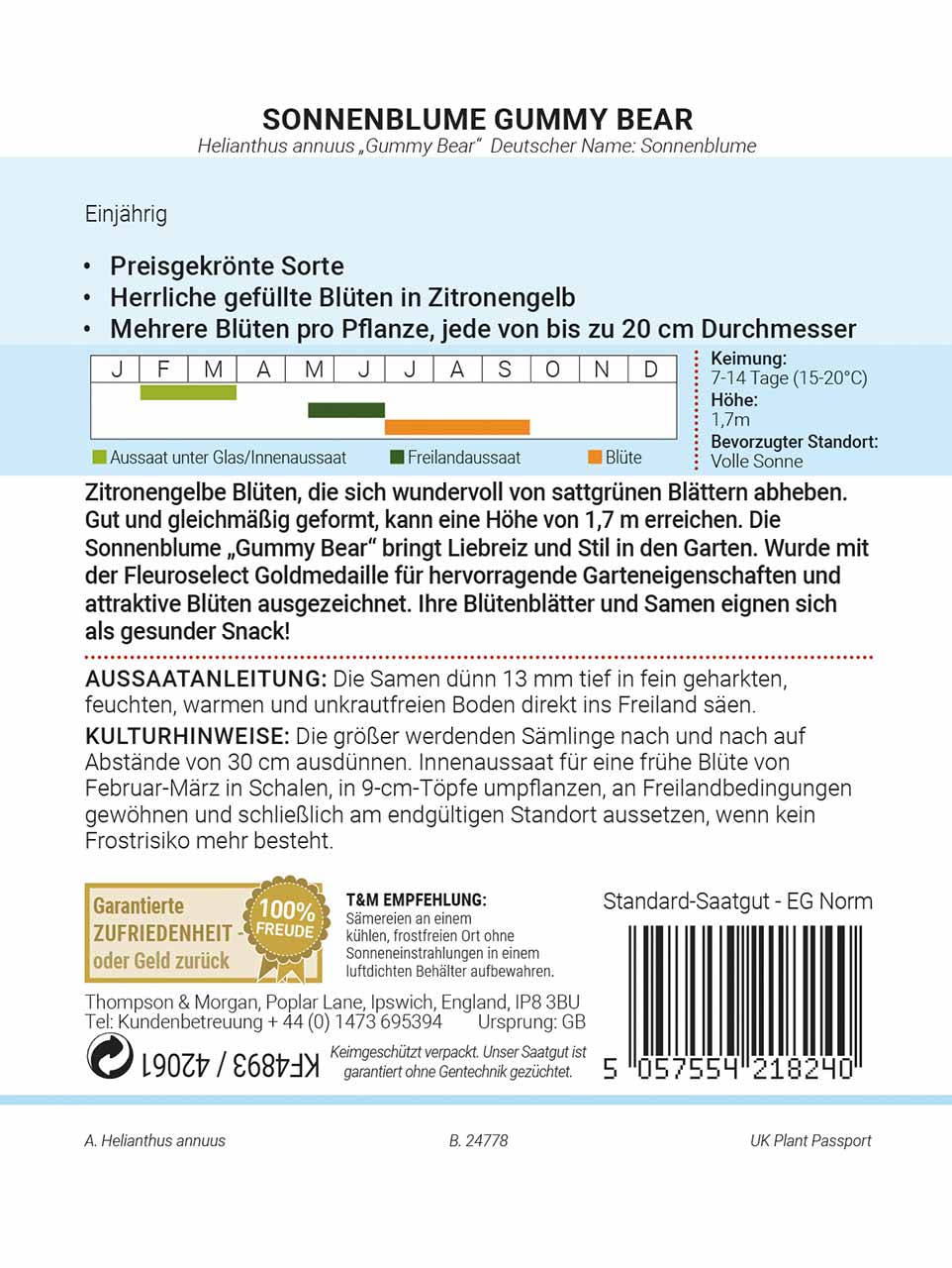 Sonnenblume Gummy Bear