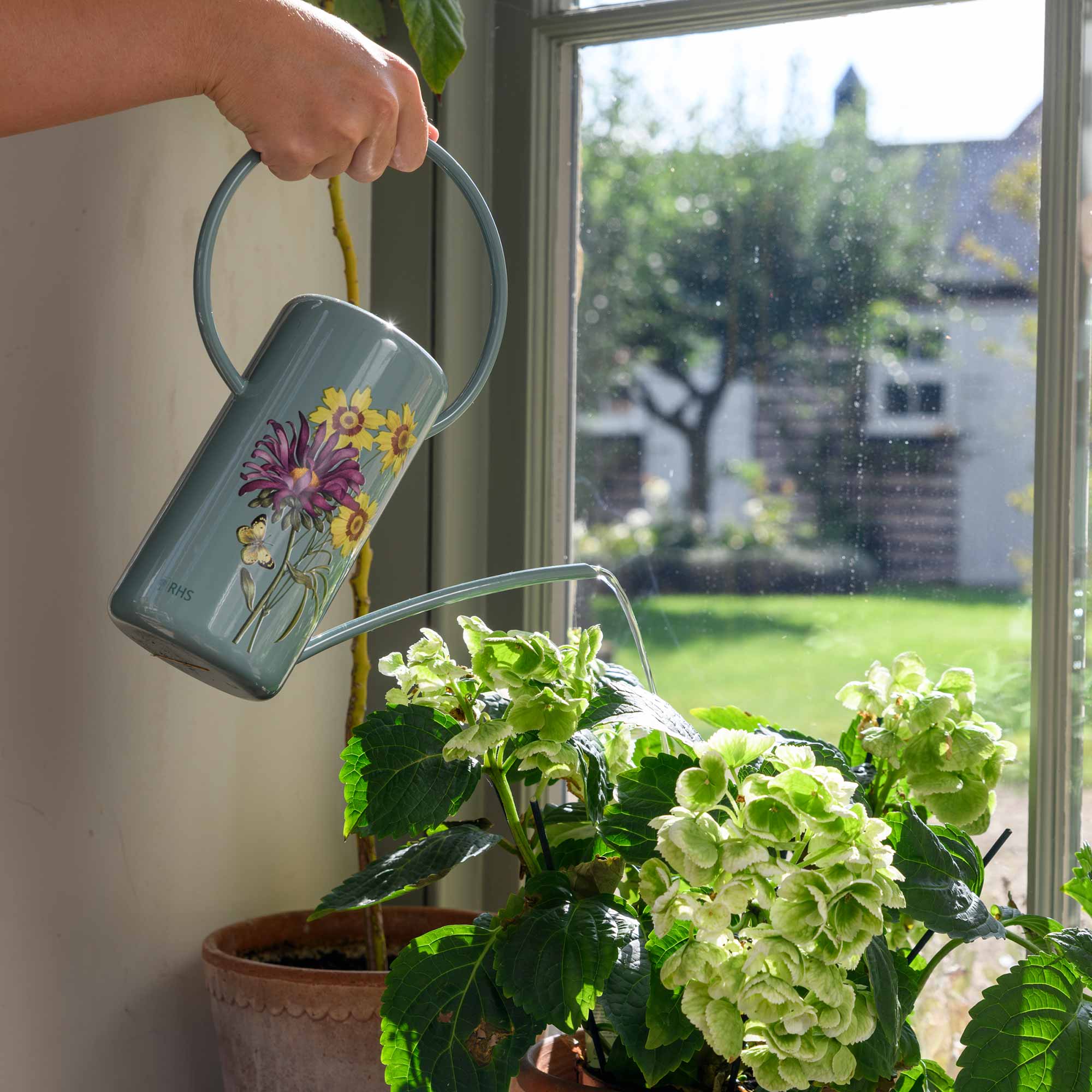 Zimmergießkanne »Asteraceae«