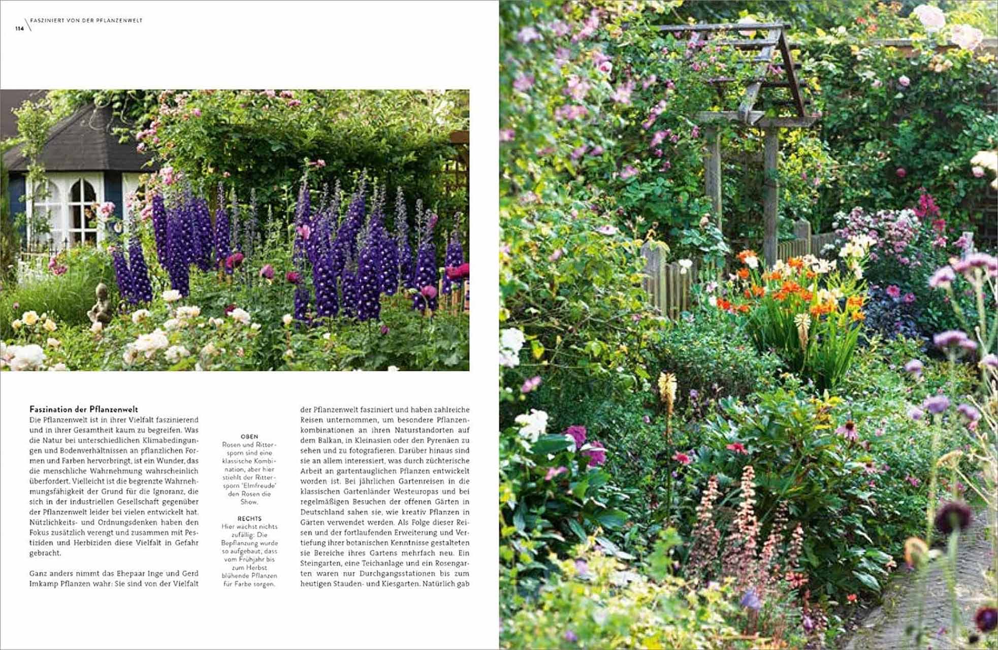 Verrückt nach Garten