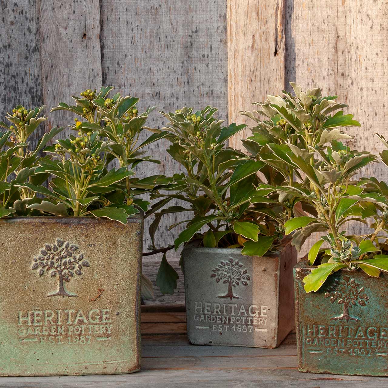 Pflanztöpfe Rustic Square