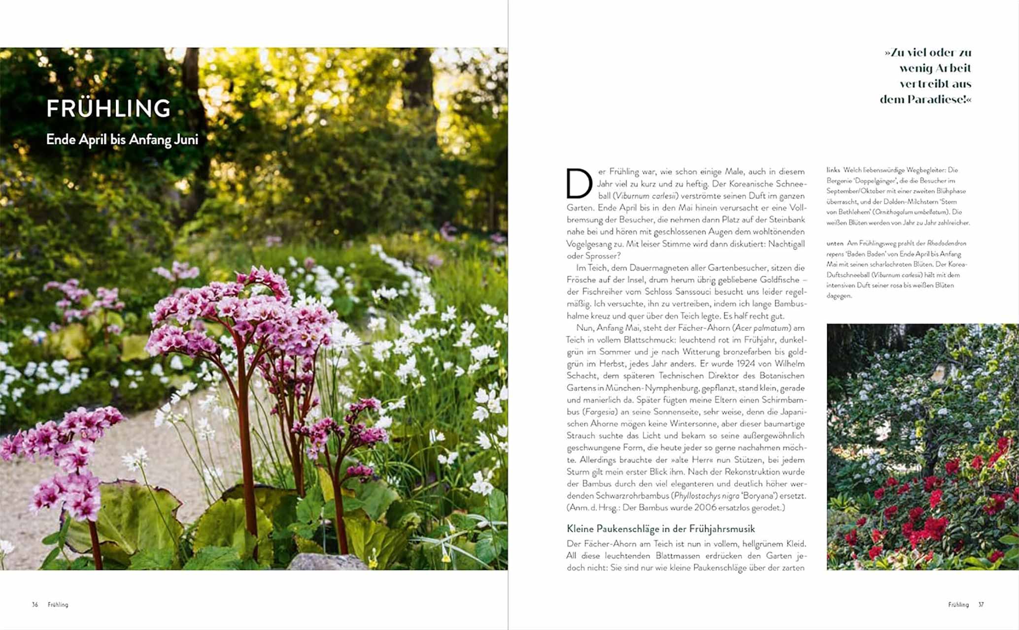 Der Garten meines Vaters Karl Foerster