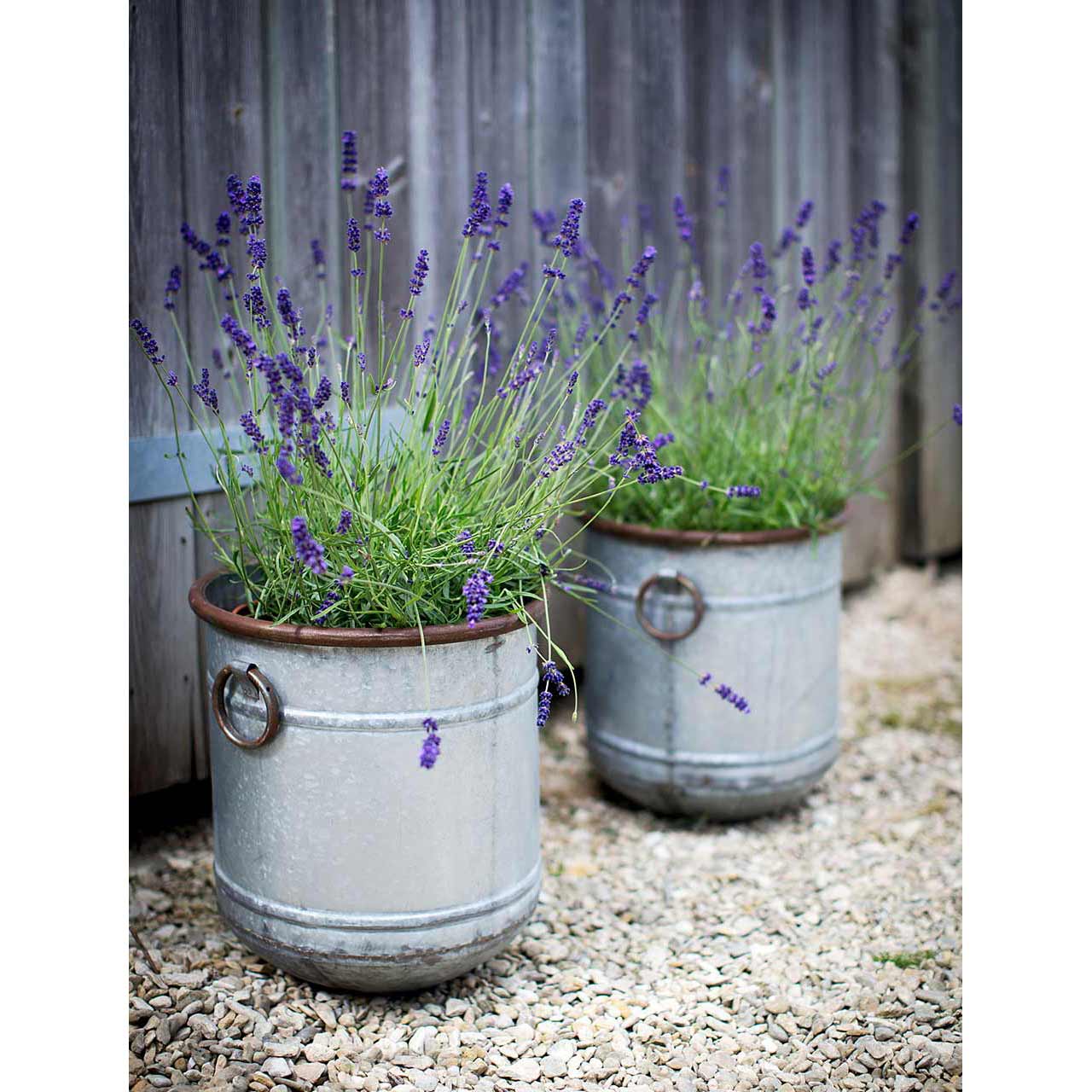 Pflanzkübel »Rustic« 3er Set