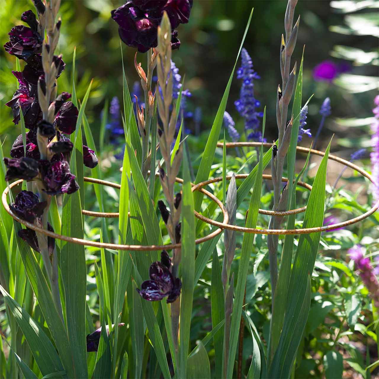 Pflanzenstützen Spirale