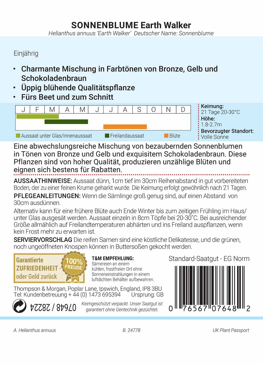 Sonnenblume Earth Walker