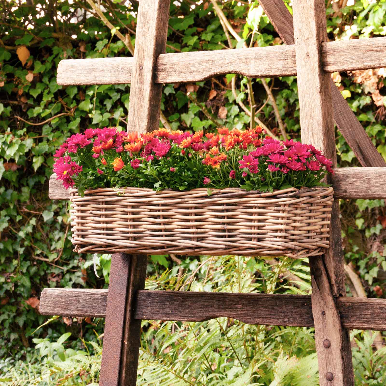 Blumen-Hängekasten Rattan
