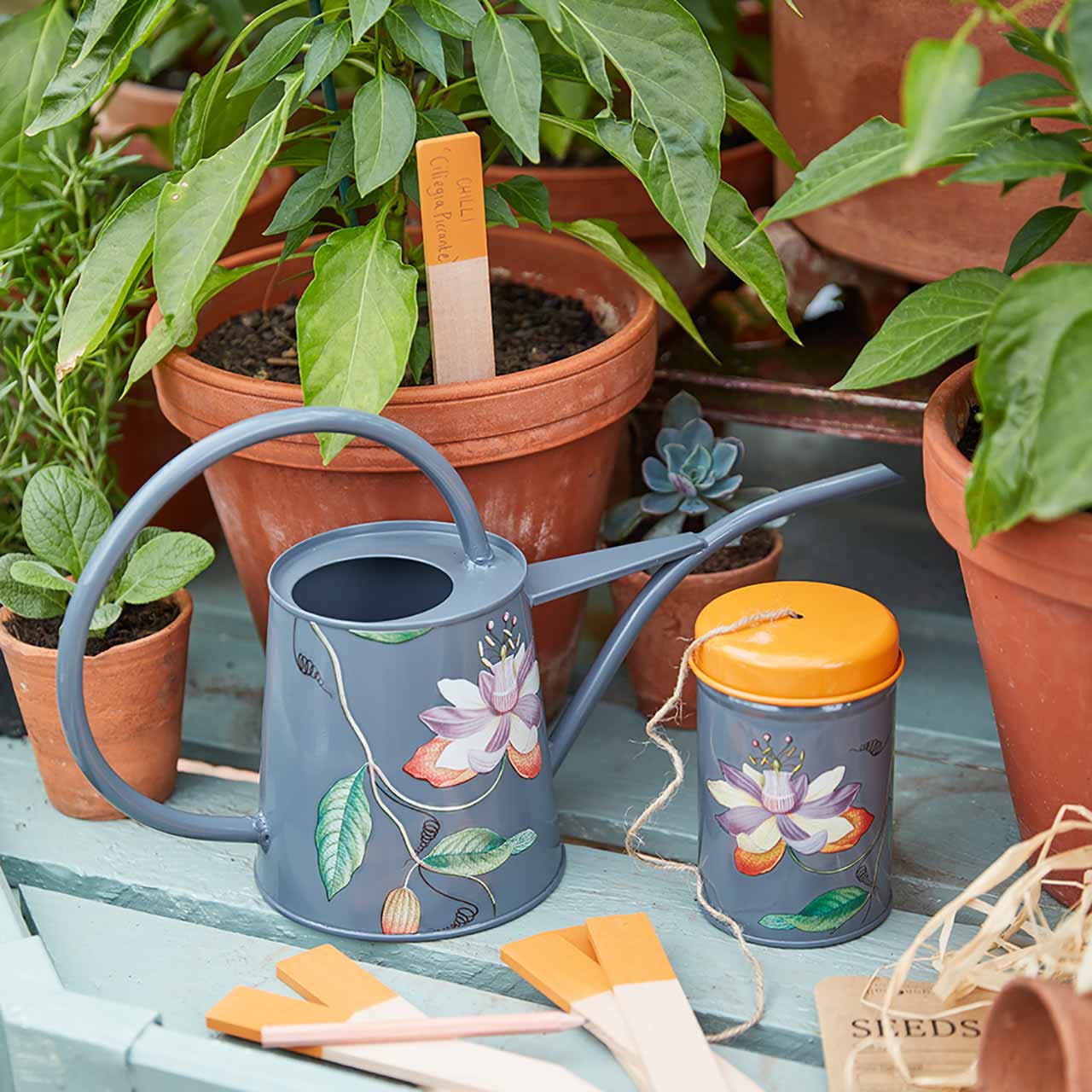 Zimmergießkanne Passiflora