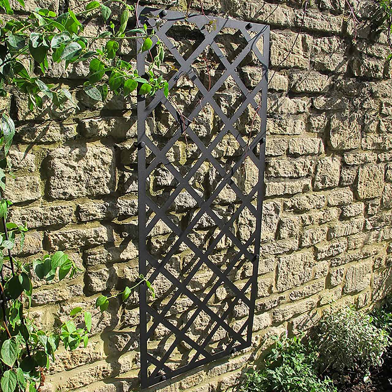 Rankgitter »Superior Lattice«