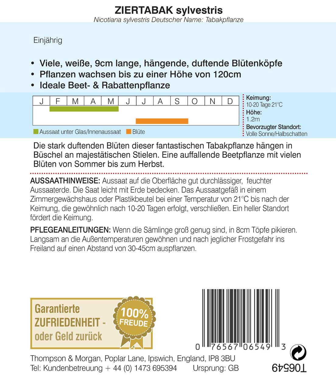 Ziertabak sylvestris