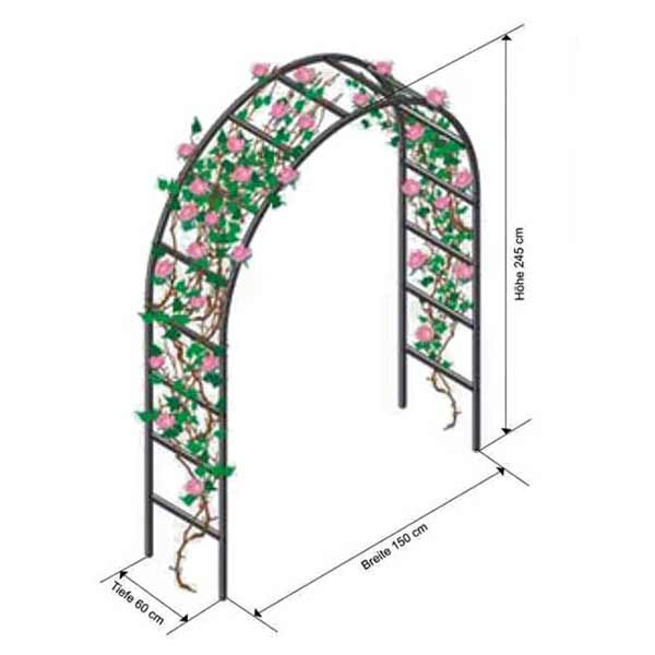 Rosenbogen - Breite 1,5 m