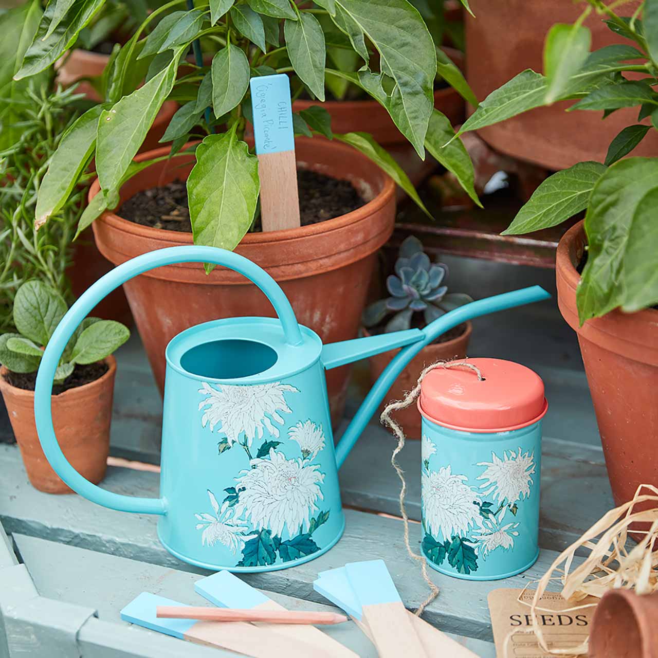 Zimmergießkanne Passiflora