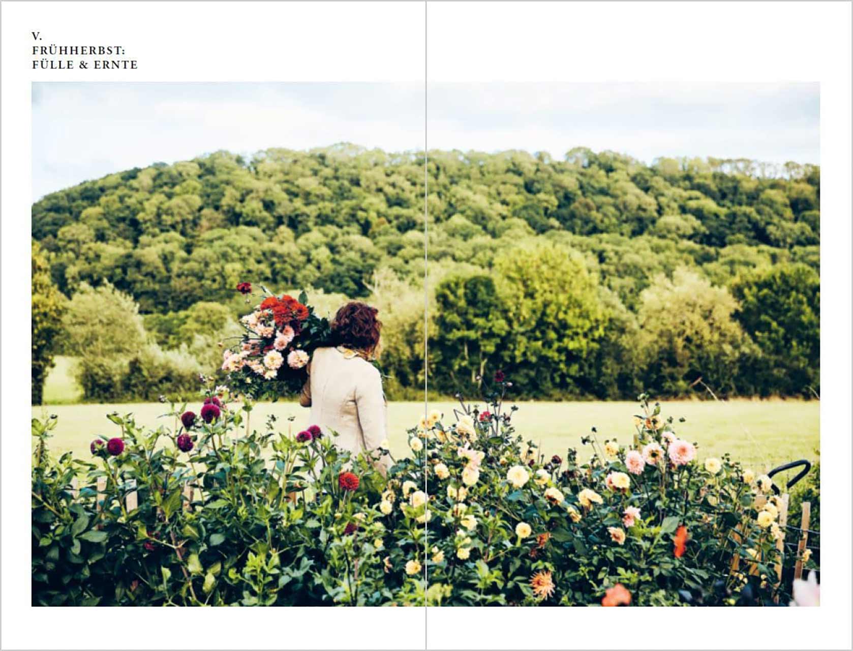 grow & gather Ein Jahr in meinem Schnittblumengarten