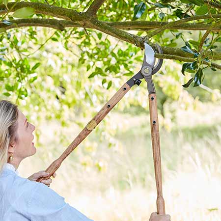 gartenwerkzeug-schneidwerkzeuge-450