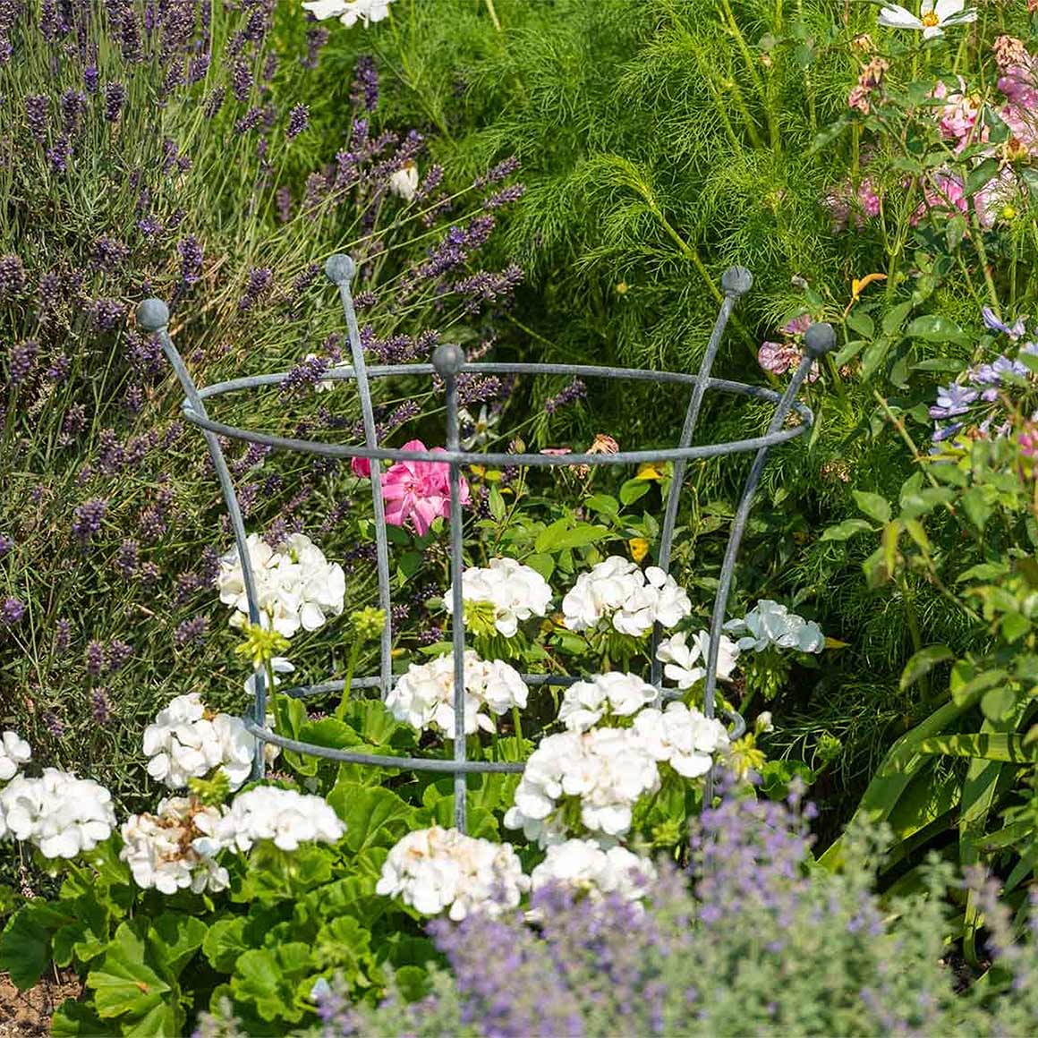 Staudenhalter »Southwold«