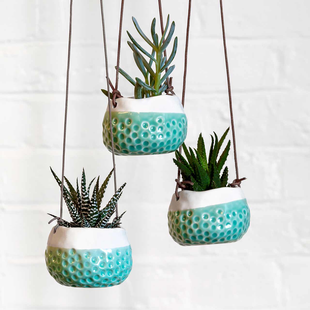 Hängetopf  »Baby Dotty«