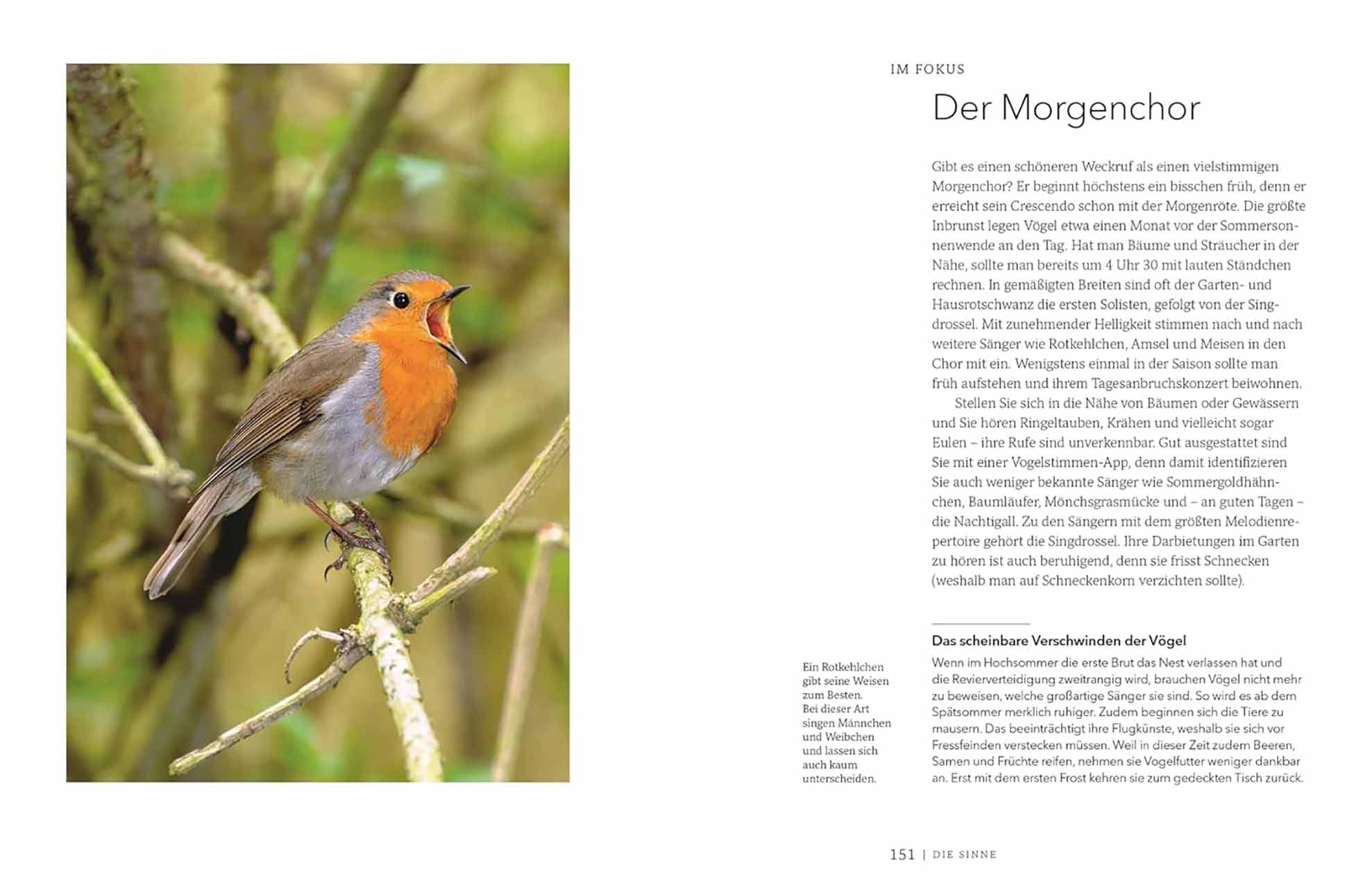 Gärtnern für die Sinne