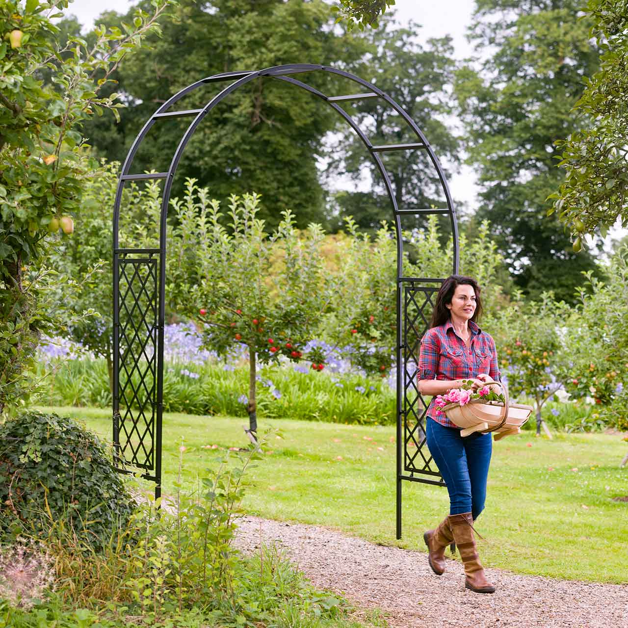 Rosenbogen mit Rankgitter