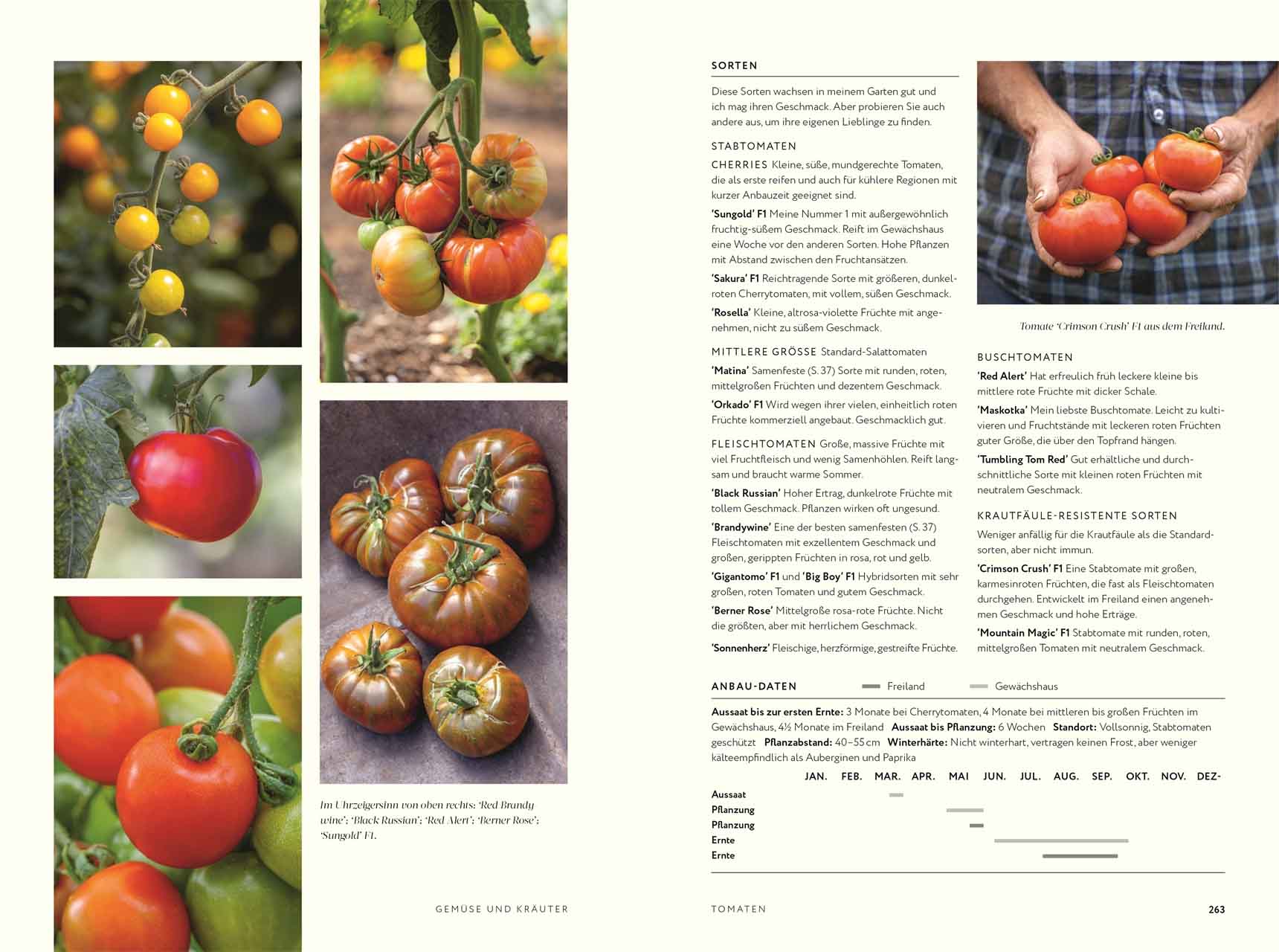 No Dig Gärtnern ohne Umgraben