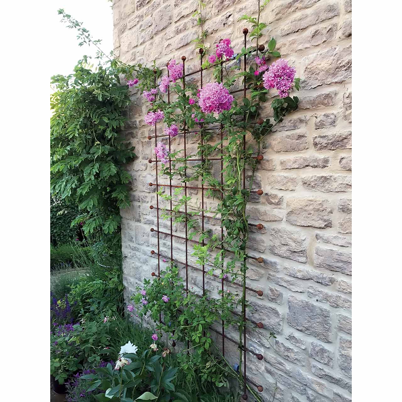 Rankgitter »Steel Rod Lattice«