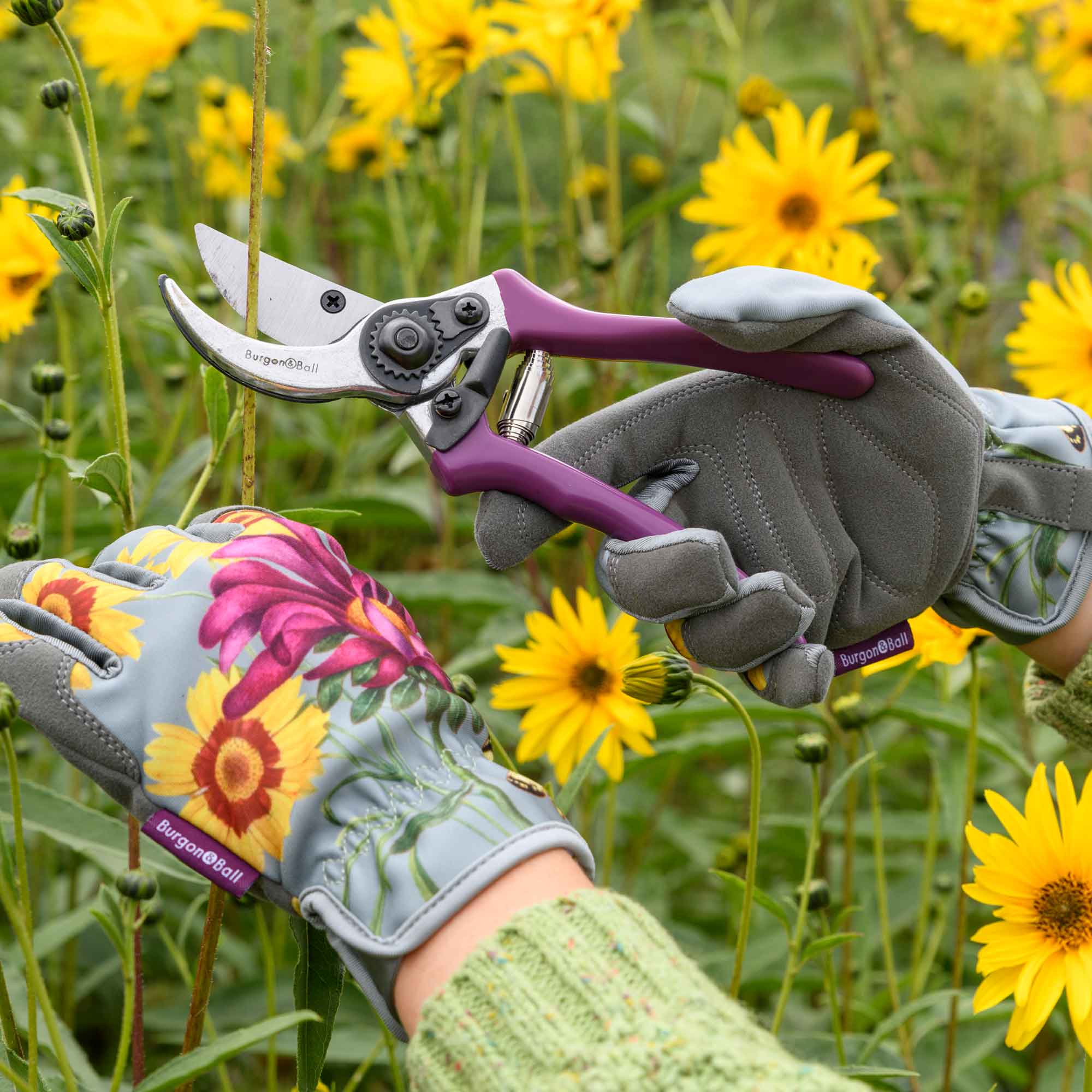 Gartenhandschuhe »Asteraceae«