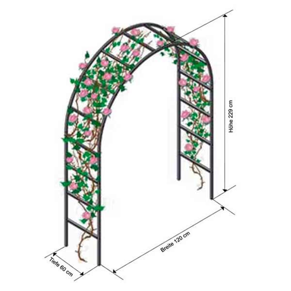 Rosenbogen - Breite 1,2 m