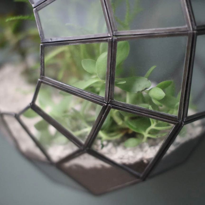 Hängeterrarium für Pflanzen