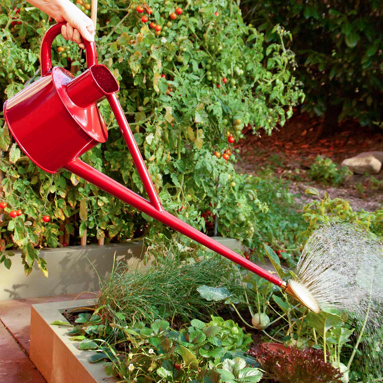 Gießkanne »Professional Long Reach«  4,5 Liter