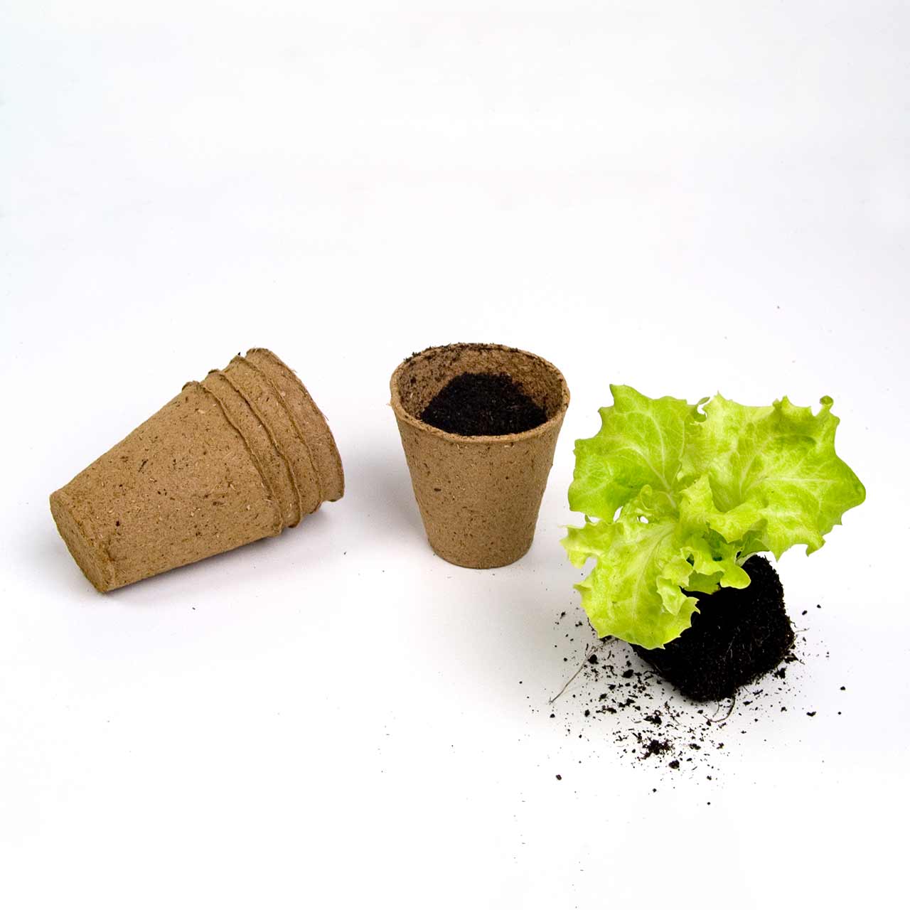 Anzuchttöpfe rund - Ø6 cm - (H)6,0 cm